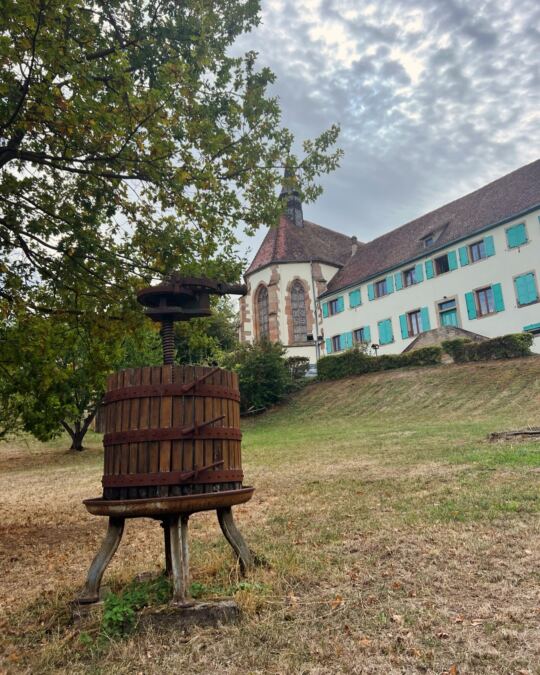 Vers la fin de la marche gourmande de Bischoffsheim en Alsace, à côté du couvent de l'église, 20/09/2026.