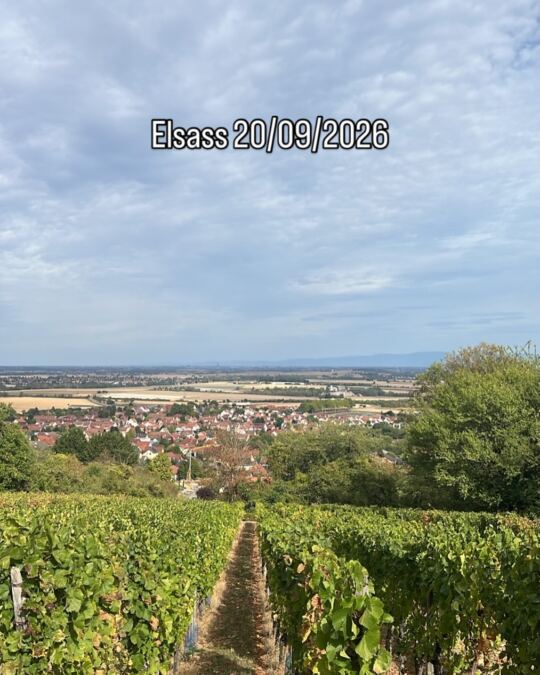 Elsass 20/09/2026