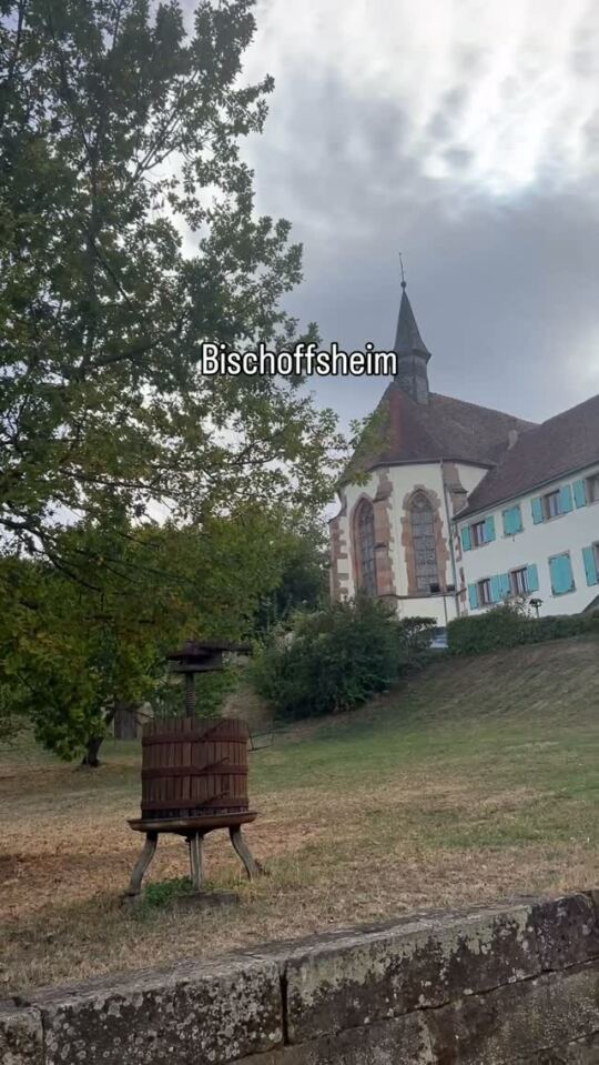 Bischoffscheim 20/09/2026