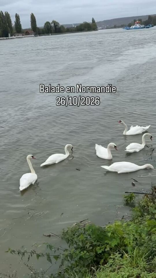 Balade en Normandie à La Bouille, 26/10/2026.